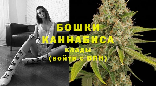сатива Инта